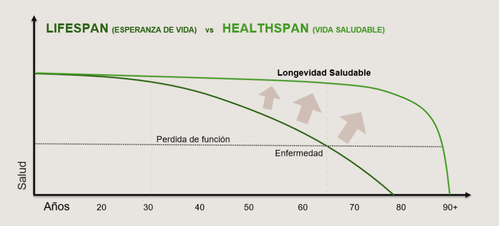 Gráfico Healthspan vs Lifespan